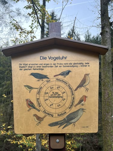 Waldlehrpfad Ober-Schönmattenwag