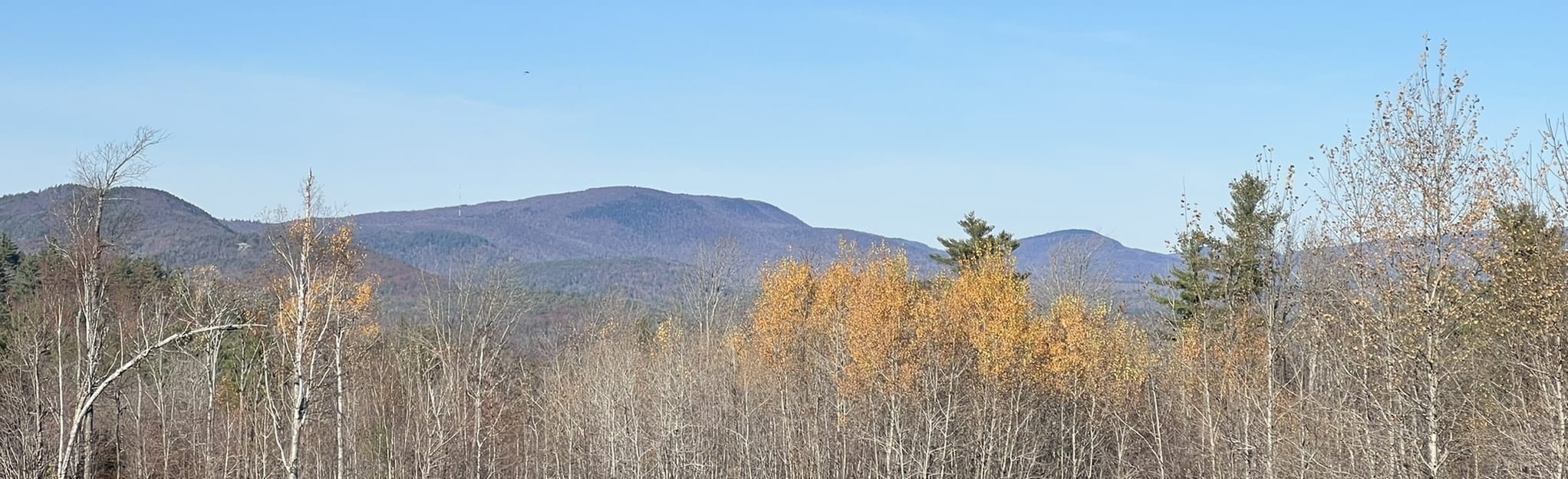 Lower Shaker Wildlife Management Area: 45 Reviews, Map - New Hampshire | AllTrails