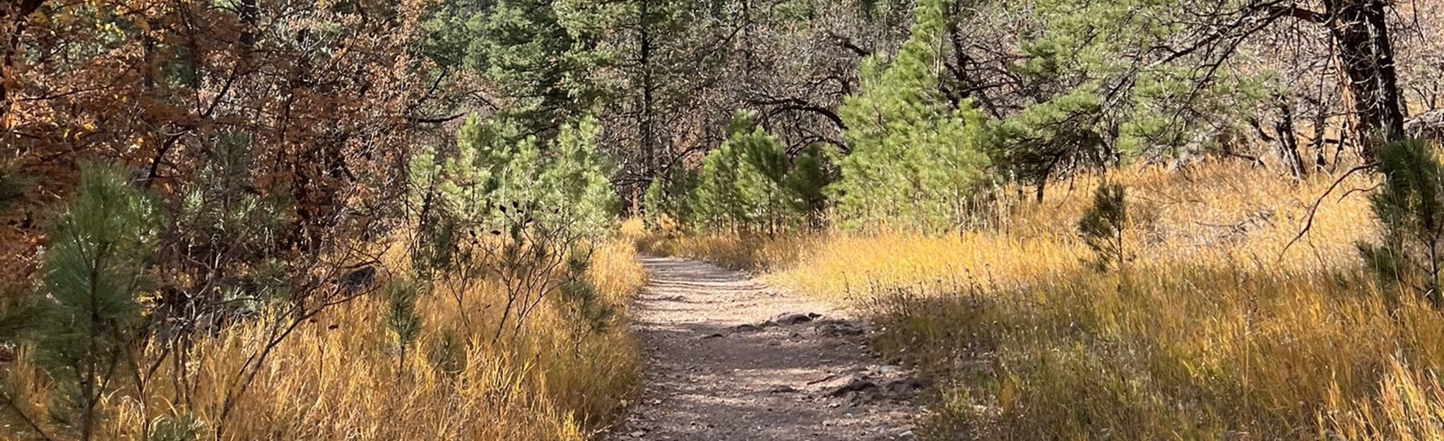 Little Elk Creek Trail 755 Reviews, Map South Dakota AllTrails