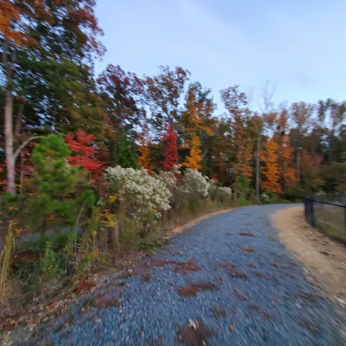 2023 Best Easy Trails in Indian Trail AllTrails