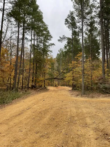 Wambaw cycle trail cheap