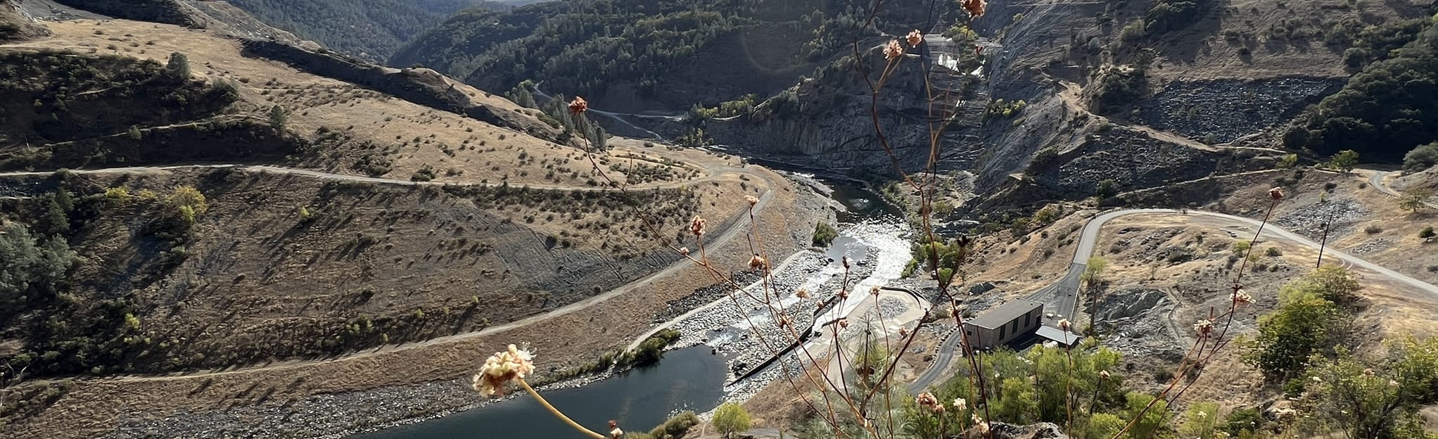 Overlook, Robie Point Fire Break, and Contour Trail Loop, California