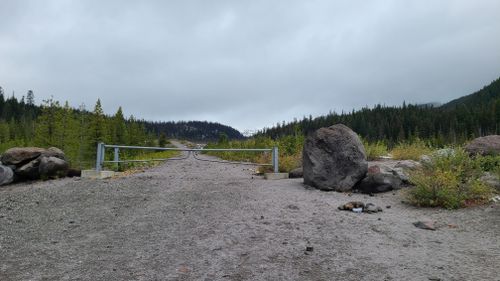 are dogs allowed in mt hood national forest