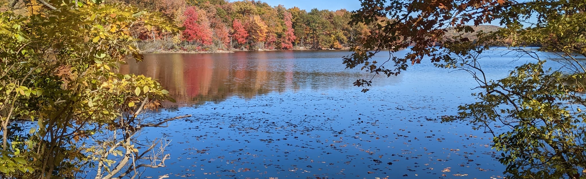 Tuxedo Loop to Lake Sebago 117 Reviews, Map New York AllTrails