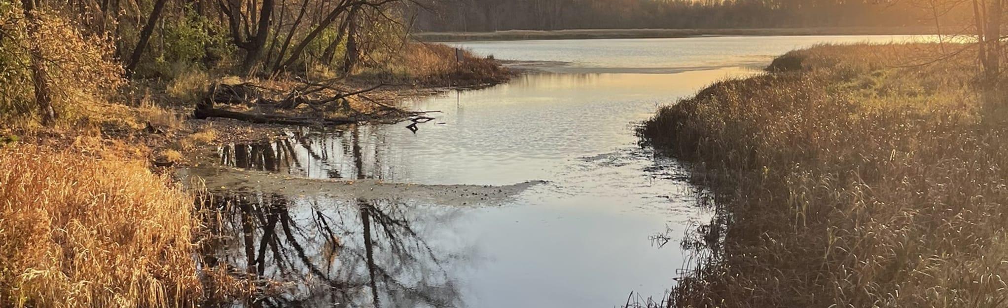 Pond Trail, Minnesota 96 Reviews, Map AllTrails