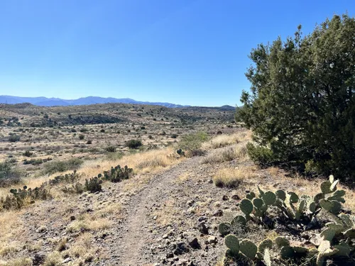 10 Best Trails and Hikes in Mayer | AllTrails