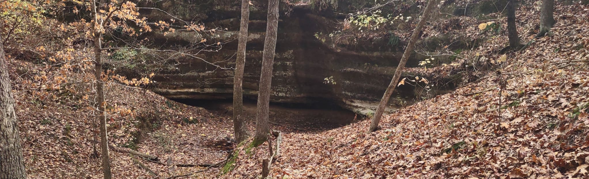 Kress Farm Yellow Trail 34 Reviews, Map Missouri AllTrails