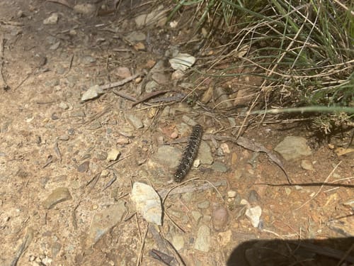 2023 Best trails in Kate Reed Nature Recreation Area | AllTrails