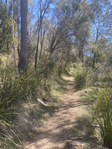 2023 Best trails in Kate Reed Nature Recreation Area | AllTrails