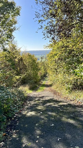 Rundweg Mosbach - Neckarzimmern