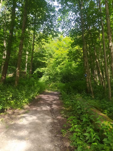 Baldeneysee-Steig Start Werden