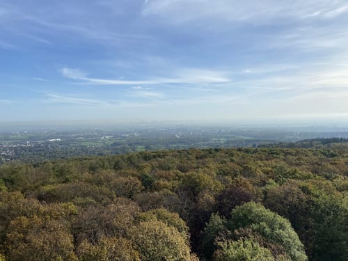 Um den Hardtberg und zum Hardtbergturm