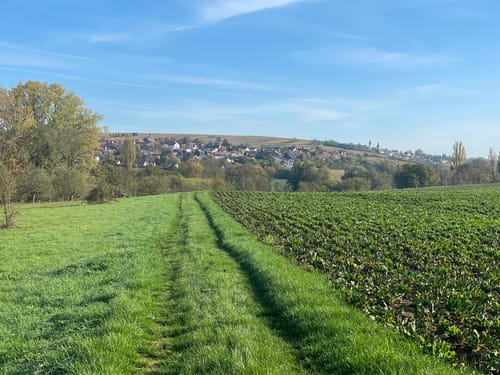 Der Zellertalweg