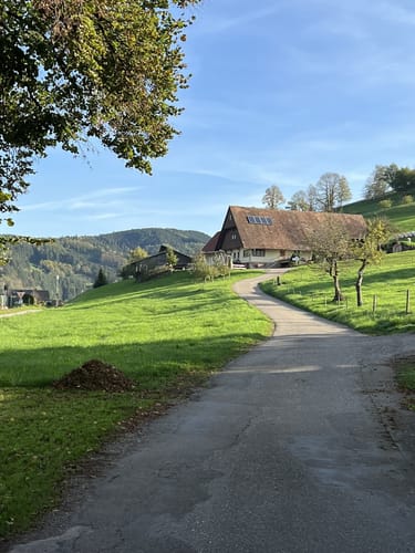 Harmersbacher Vesperweg (Genießerpfad)
