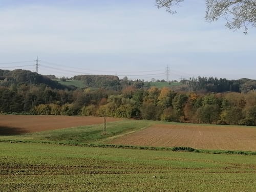 Schreppenberg - Kellerberg - Aussenberg