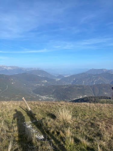 2023 Best Forest Trails in Enego AllTrails