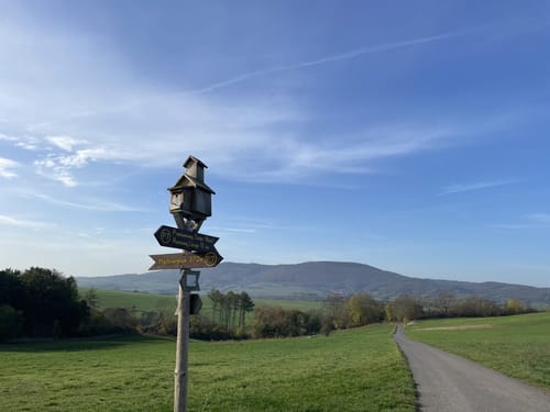 Söder Wald P7 (Premiumwanderweg)