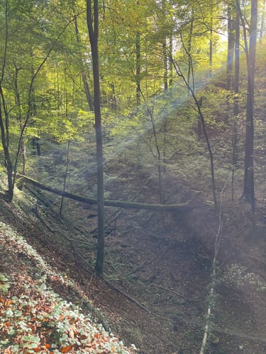 Ungeheuerklamm-Runde von Untergrombach
