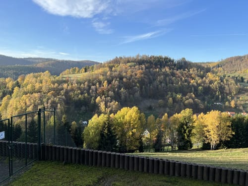 Panoramawanderung Schönbrunn