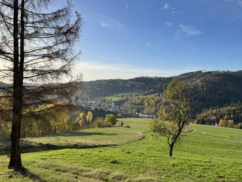Panoramawanderung Schönbrunn