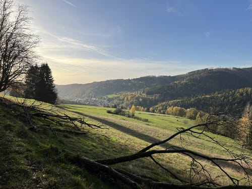 Panoramawanderung Schönbrunn