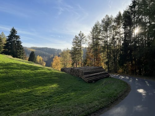 Panoramawanderung Schönbrunn