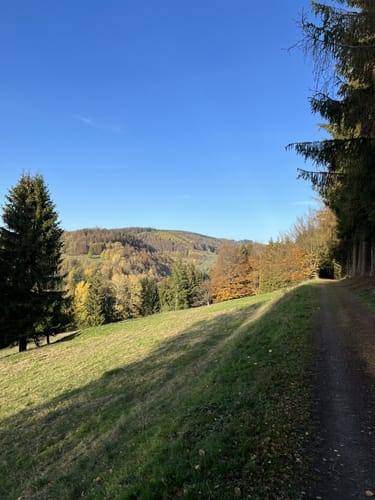 Panoramawanderung Schönbrunn