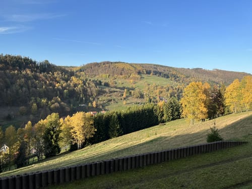 Panoramawanderung Schönbrunn
