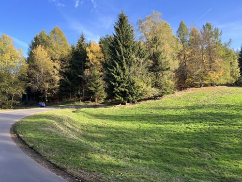 Panoramawanderung Schönbrunn