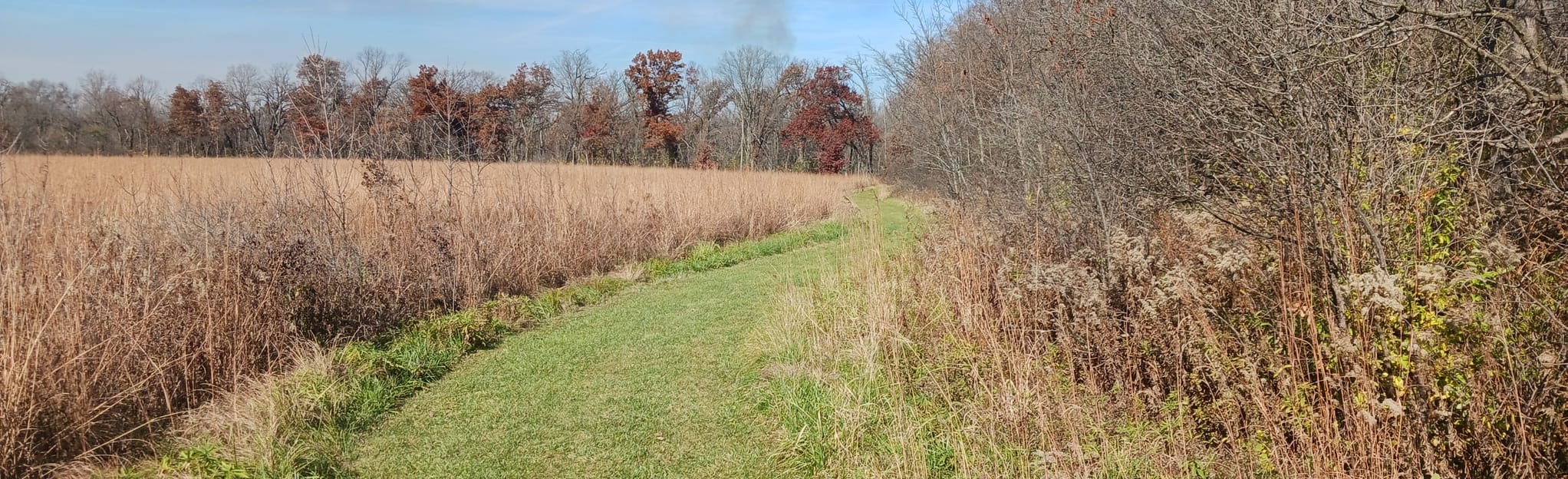 Oak Ridge Forest Preserve Upper Loop 34 Reviews, Map Illinois