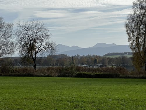 Wagingerseerundweg