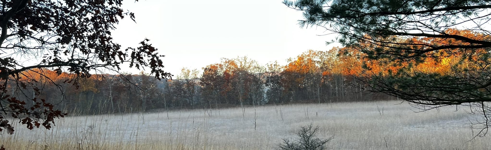 Wildlife Woods Buckeye Valley - EyJidWNrZXQiOiJhc3NldHMuYWxsdHJhaWxzLmNvbSIsImtleSI6InVwbG9hZHMvcGhvdG8vaW1hZ2UvNTM4MjAwMDYvZmFlOGIyYzMyOGMyNjYyMTdiZTI3OGExZjdlYzVlM2EuanBnIiwiZWRpdHMiOnsidG9Gb3JtYXQiOiJqcGVnIiwicmVzaXplIjp7IndpZHRoIjoyMDQ0LCJoZWlnaHQiOjYyNCwiZml0IjoiY292ZXIifSwicm90YXRlIjpudWxsLCJqcGVnIjp7InRyZWxsaXNRdWFudGlzYXRpb24iOnRydWUsIm92ZXJzaG9vdERlcmluZ2luZyI6dHJ1ZSwib3B0aW1pc2VTY2FucyI6dHJ1ZSwicXVhbnRpc2F0aW9uVGFibGUiOjN9fX0=