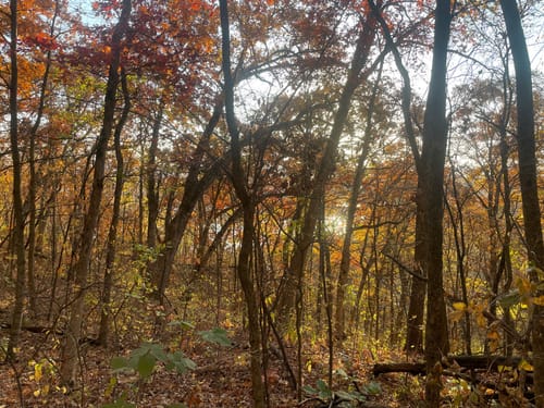 Best Hikes and Trails in Five-Mile Bluff Prairie State Natural Area ...
