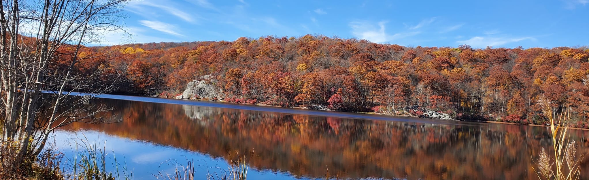 Clear Lake Scout Reservation Trail, New York 38 Reviews, Map AllTrails