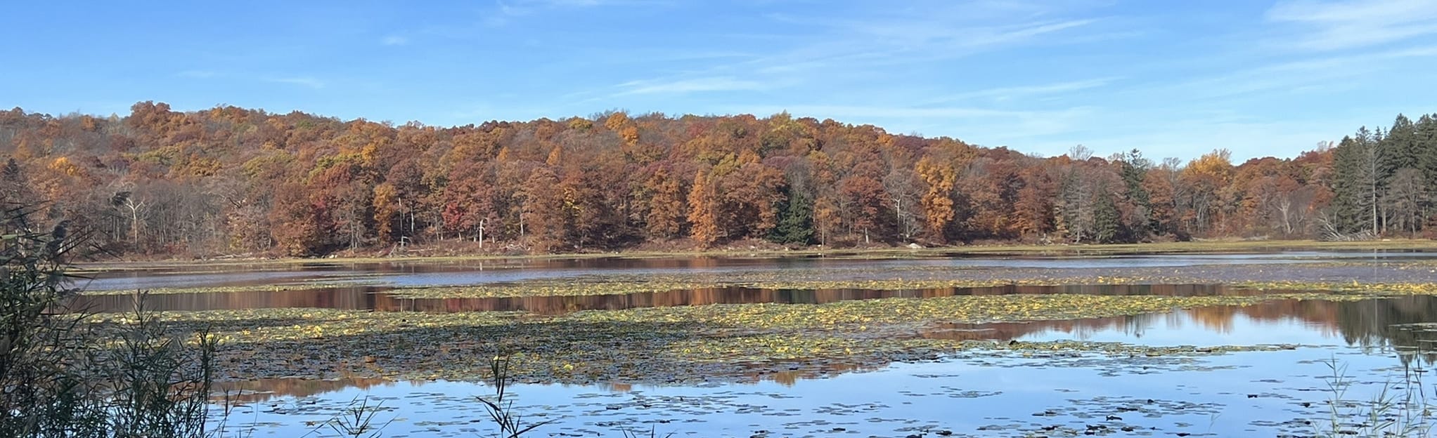 Allamuchy Unblazed to White Trail Loop 86 Reviews, Map New Jersey