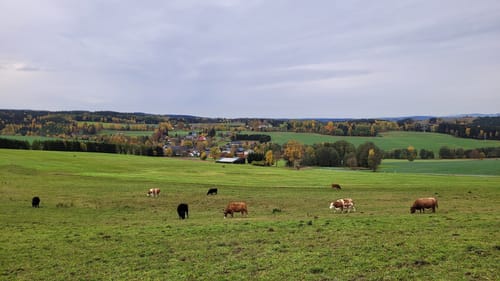 Kammweg Erzgebirge-Vogtland Etappe 14: Schöneck - Eichigt