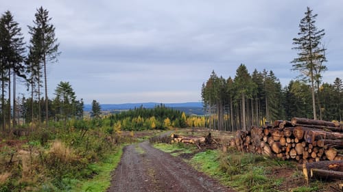 Kammweg Erzgebirge-Vogtland Etappe 14: Schöneck - Eichigt