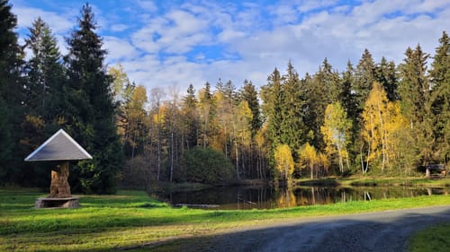Kammweg Erzgebirge-Vogtland Etappe 14: Schöneck - Eichigt