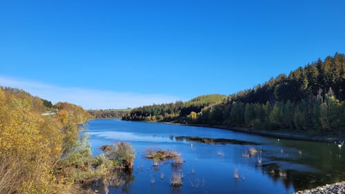 Kammweg Erzgebirge-Vogtland Etappe 15: Eichigt - Burgsteingebiet