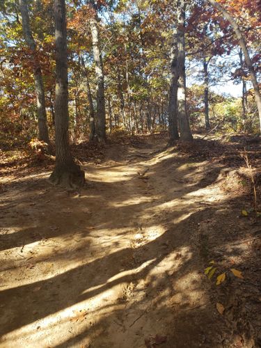 2023 Best trails in Farmingville Hills County Park | AllTrails