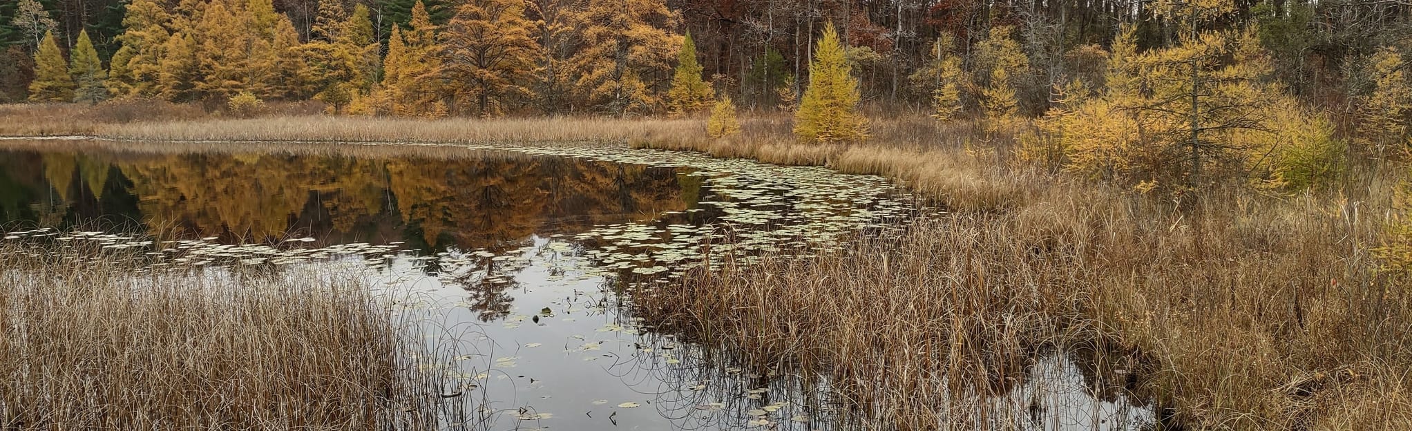 Silver Lake Trail 722 Reviews, Map Michigan AllTrails