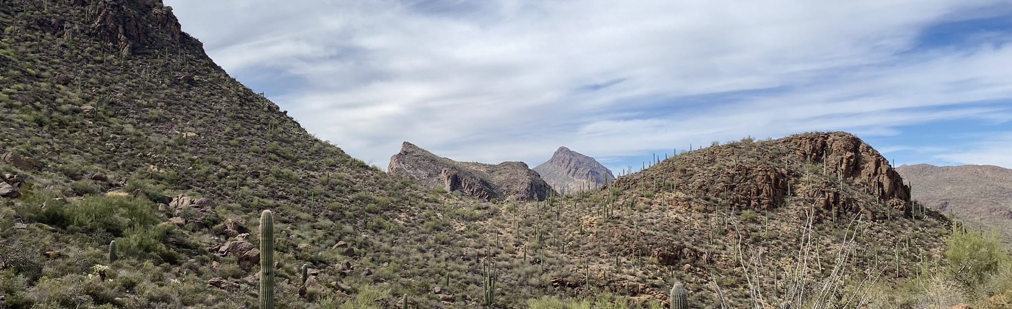 Explorer Trail Sarasota Trailhead to Sunset Pass Trail 282 Reviews
