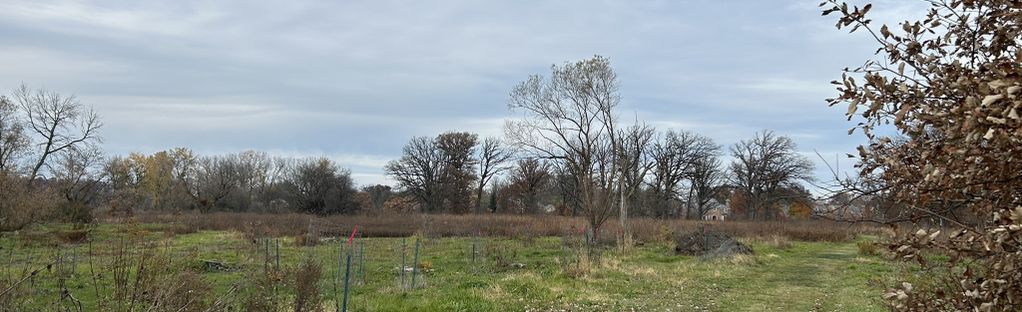 are dogs allowed at nature preserves in illinois