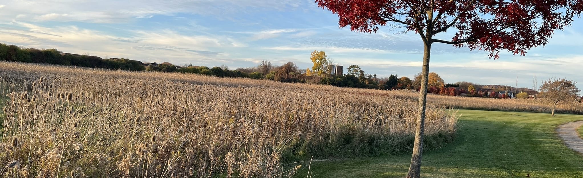 AllTrails Buckland Park Loop 167 Reviews, Map New York