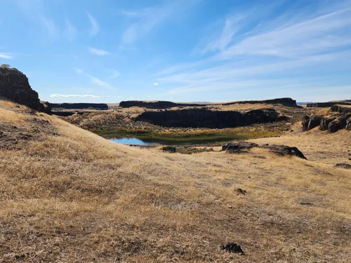 Best Bird Watching Trails in Warden AllTrails