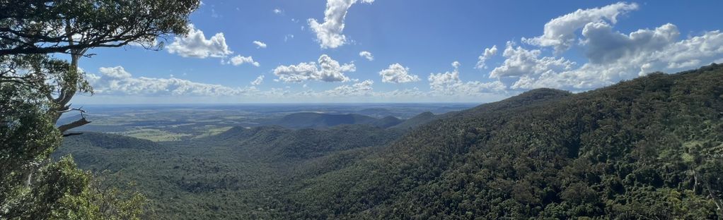 are dogs allowed at bunya mountains