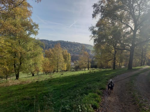 Arzberg - Steinbach-Hallenberg Rundwanderweg