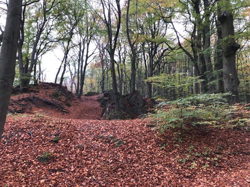 Ith-Kammweg und Jürgensweg Rundweg