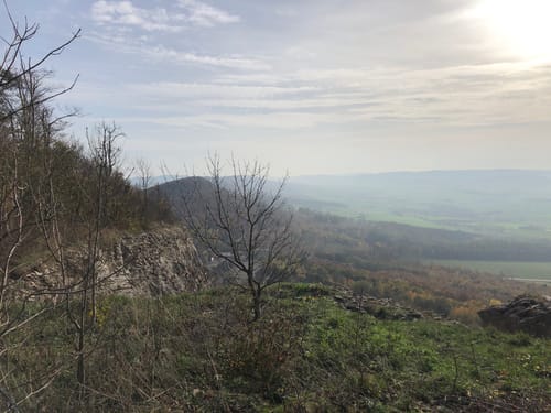 Ith-Kammweg und Jürgensweg Rundweg