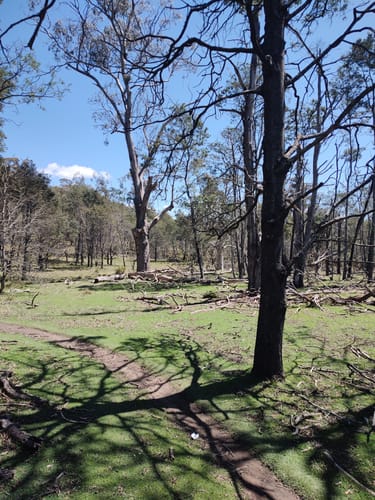 2023 Best trails in Kate Reed Nature Recreation Area | AllTrails